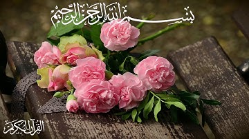 AnNaml سورة النمل القارئ أحمد جلال الشلبي Ahmad jalal alshlby