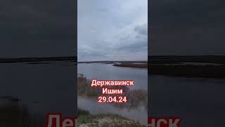 Державинск.Ишим.уровень воды. #алекс_юстасу #Ишим #рекаишим