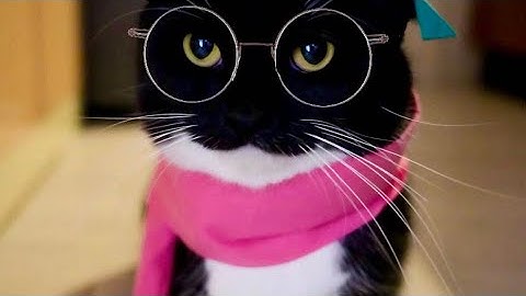 Random things I found in my camera roll