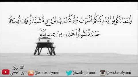 تلاوة من سورة النساء ينفطر لها القلب بصوت الشيخ وديع اليمني