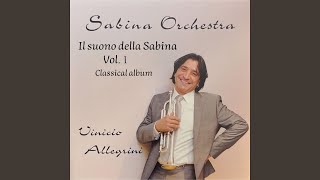 Concerto per tromba e orchestra in E Major, S. 49: I. Allegro con spirito