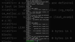 Detection and Prevention of Memory Leaks in C