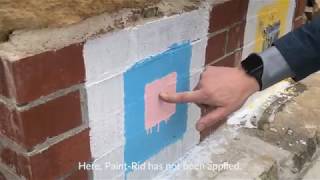 Removing Paint from Masonry with Paint-Rid and DOFF Integra