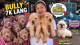 ANG DAMI NANAMAN! PRESYONG PAMIGAY SULIT! | Grotto Pet Market Dogs, Cats and Birds