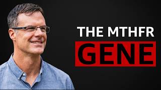 Famous MTHFR: The Root Cause of Fatigue That Doctors Call ‘Normal‘ Net Worth