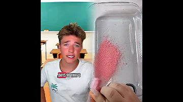 Why Didn T You Study 