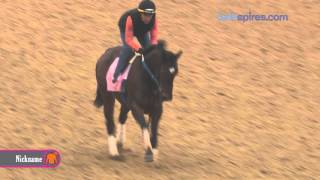 Nickname gallops 4.23