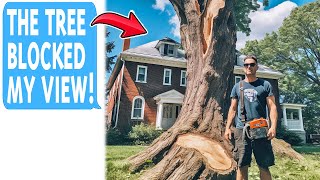 Neighbor Cut Down $198,765 Tree On My Property While Trespassing Repeatedly!