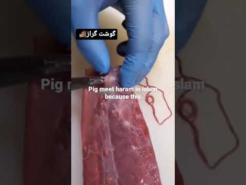 تصویری: آیا پوست خوک گوشت خوک است؟