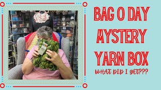 Bag O Day Mystery Yarn Box! #BAGODAYCROCHET screenshot 2