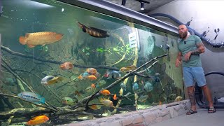 : Mein Fisch-Besatz Im 21.000l Aquarium | Cichliden, Arowanas, Schlangenk"opfe uvm.