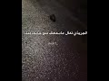 تشوف هذا الجريذي تعال ماسمعتك منو خايف منك وعلي اني علت بي اشرد ايقنت انكر اهميه لايك