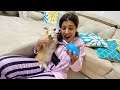 Finally got LIFE Saving PUMP for CANDY Puppies❤️| Ss Vlogs :-)