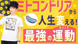 HIITの極め方①ミトコンドリアから人生変える最強の運動