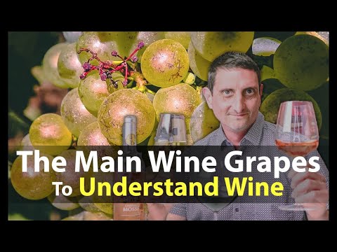 Vídeo: Grapes Academician: descrição da variedade com foto