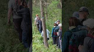 Introducing Upland Nature Guides
