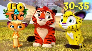 Leo and Tig  All Episodes In A Row  (Episode 3035)  Cartoon for kids Kedoo Toons TV