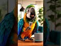 Street Interviews: When Animals Talk! 🐶🐱🐦 #animalinterview #funnyshorts