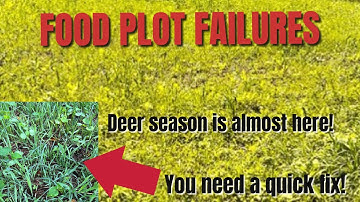 How to fix a food plot failure.