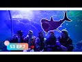 Ninety One SPACE S3 EP.7 - Busan "Sea Life" Aquarium