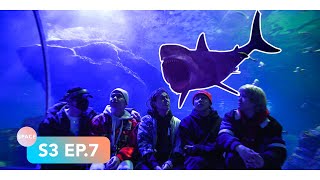 Ninety One SPACE S3 EP.7 - Busan 