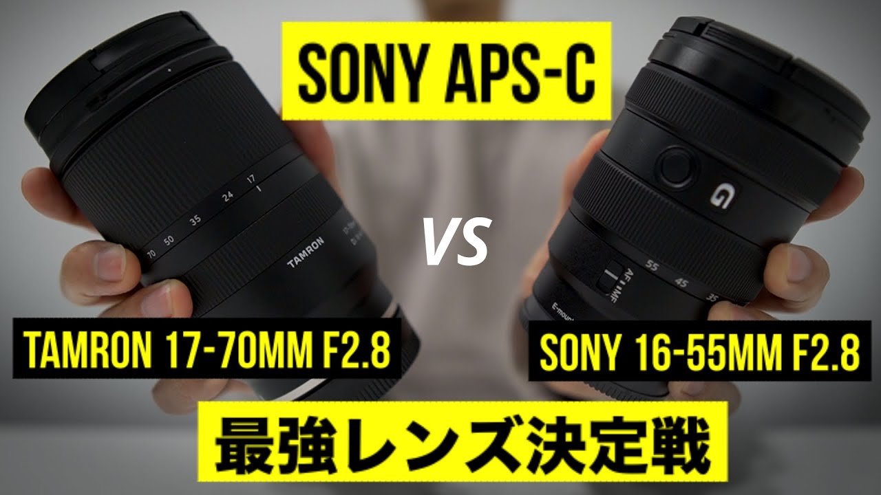 【a6400/a6600】Tamron 17-70mm f2.8 vs Sony 16-55mm f2.8 (SEL1655G) |  APS-C用レンズ比較レビュー