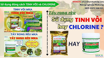 Mekongagri | Tẩy rong rêu MKA - Chlorine | Tẩy rong rêu bằng Tinh vôi hay Chlorine hiệu quả hơn