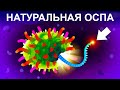 Самый смертельный вирус [Kurzgesagt]