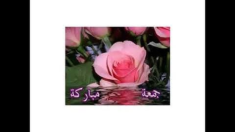 جمعة مباركة 🌹🌹اكثروا من الاستغفار والصلاة على اشرف المرسلين وقرآة سورة الكهف ولا تنسونى بالدعاء
