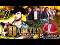 Dareyes de La Sierra , El tigrillo Palma Ft Los Alegres del Barranco || Corridos Con Tuba Con Banda