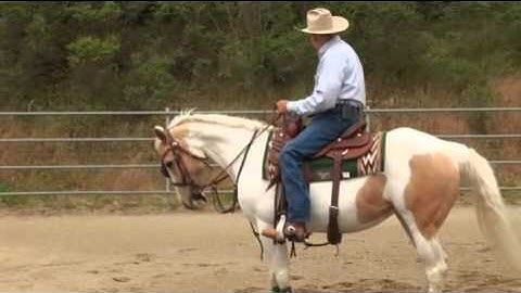 Charles Wilhelm - Introduction to working your horse with the mechanical cow