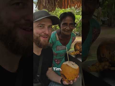 King's Coconut with queen in Sri Lanka  - King's Coconut with queen in Sri Lanka 