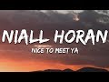 Niall Horan - Nice To Meet Ya (Lyrics)