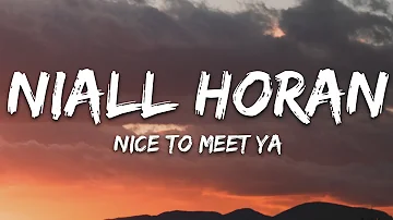 Niall Horan - Nice To Meet Ya (Lyrics)