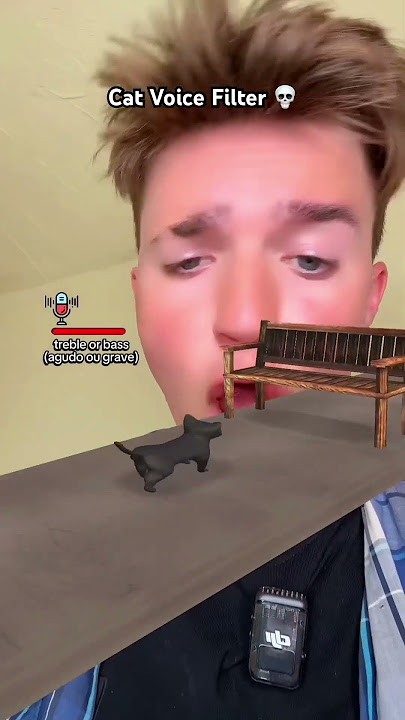 Meow Meow 🐈‍⬛