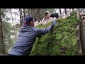 Полное видео стройки Шалаша в лесу.