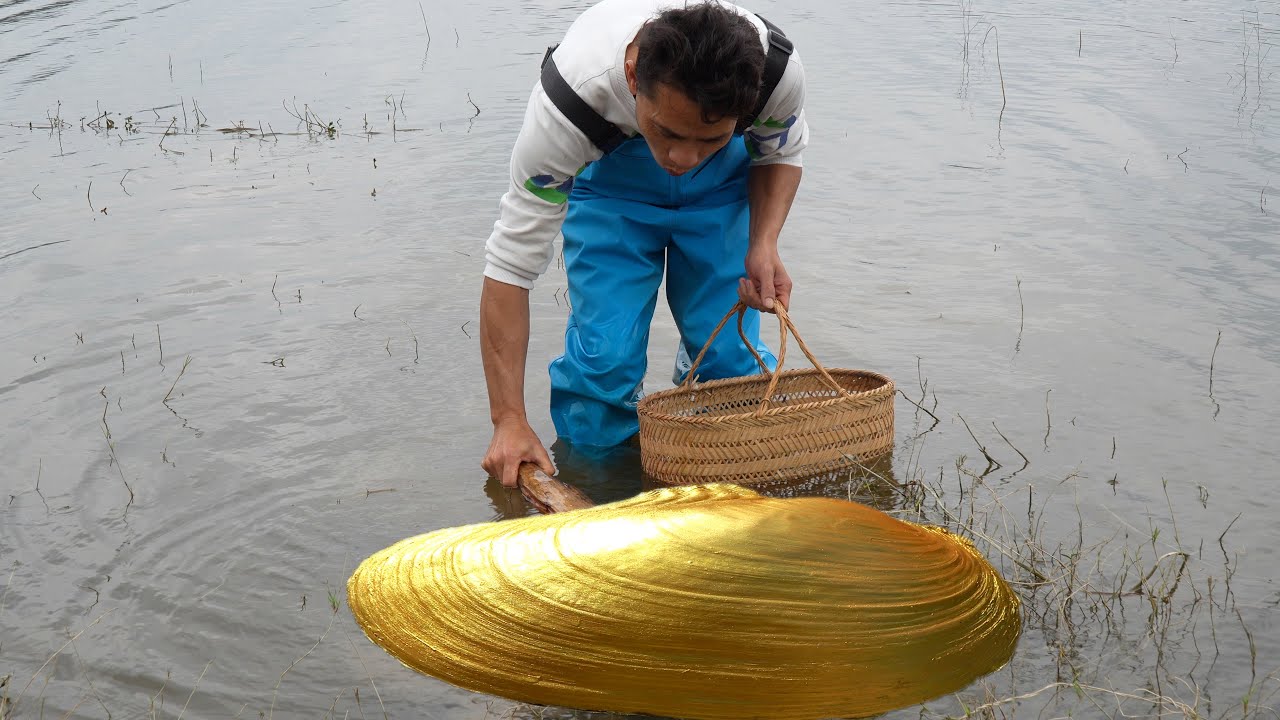 👑👑 Clam’s Dying Whisper: Girl Races to Save River and Its Hidden Pearl Civilization From Extinction