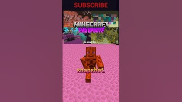 END CHANGES IN NEW SNAPSHOT AND MORE