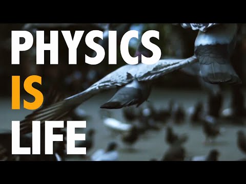 PHYSICS