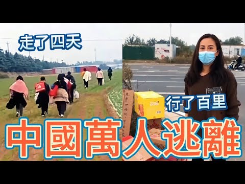 韓國出大事！小粉紅訕笑，結果梨泰院有四名中國同胞；鄭州富士康萬人出逃，四天步行百里逃難