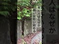 速報⚠️この動画に出会ったらなぜか大きな願いが叶います#shorts #開運 #運気アップ #心願成就 #幸運が舞い込む #運気が上がる映像 #遠隔参拝 #パワースポット神社 #旅行 #リモート参拝