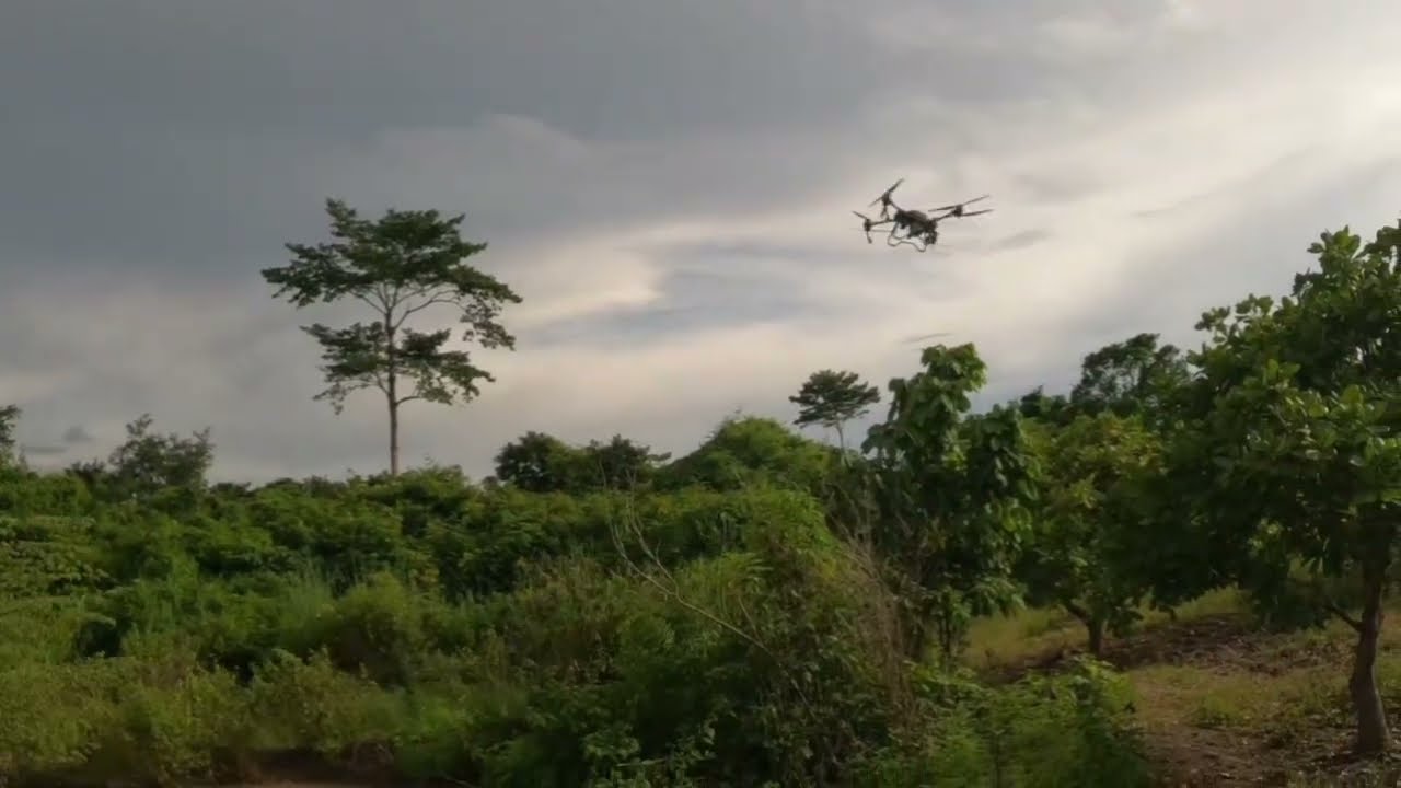 ចែករំលែកបទពិសោធន៍ខ្លះៗពីការបាញ់ថ្នាំចន្ទី #ដ្រូនបាញ់ថ្នាំ #ដ្រូនកសិកម្ម