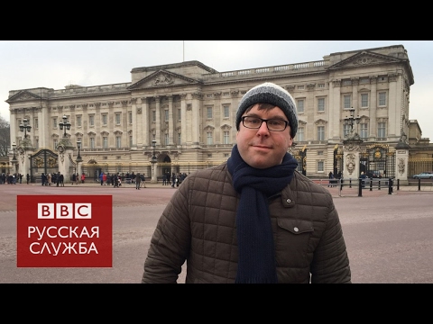 Видео: Есть ли в Лондоне попугаи?