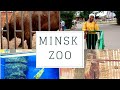 WE WENT TO THE ZOO IN MINSK, BELARUS | ZOOPARK AND DINOSAUR PARK IN MINSK | ZEEVLOG #22