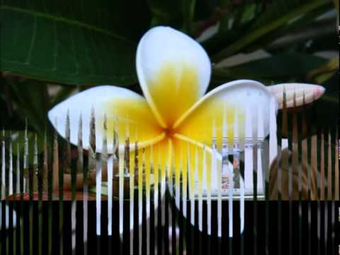 แรงบันดาลใจตอนที่1[Insparation]