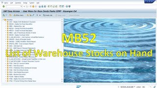 SAP MB52 List of Warehouse Stocks on Hand