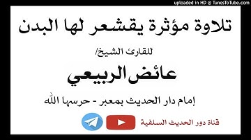 تلاوة مؤثرة يقشعر لها البدن بصوت الشيخ عائض الربيعي