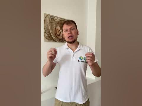 Периферни нерви - - YouTube