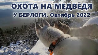 ЗАЛЕЗ В БЕРЛОГУ во время охоты на МЕДВЕДЯ | Охота с лайками на медведя в октябре 2022 года