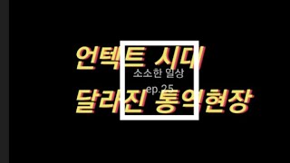 [소소한 일상#25]VLOG/언텍트 시대 달라진 통역현장/동시통역사의 일상/국제회의 통역사의 소소한 일상/同声传译/simultaneous interpreter